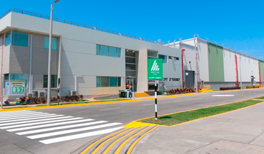 Planta Obra PROTISTA